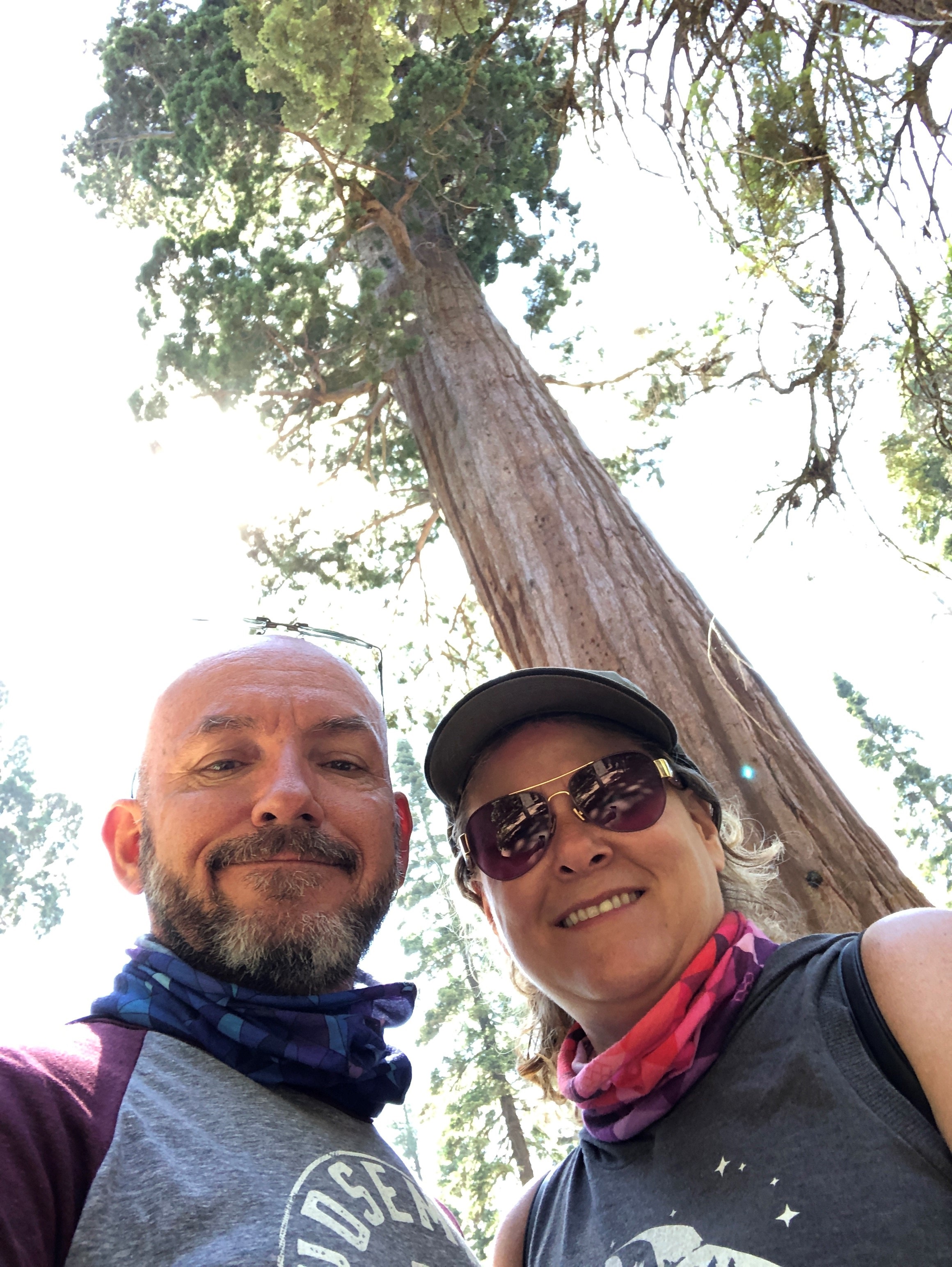 Sequoia National Park